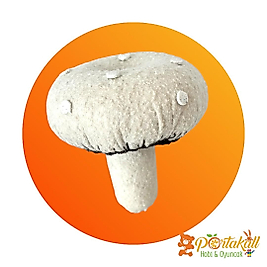 Mantar Figürlü Eğitici Keçe Sebze Oyuncağı