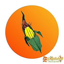 Mısır Figürlü Eğitici Keçe Sebze Oyuncağı