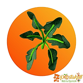 Ispanak Figürlü Keçe Sebze Oyuncağı